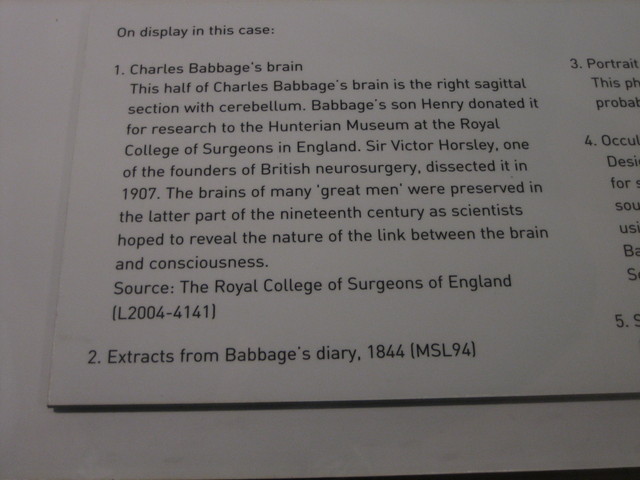 The plaque near the brain...
