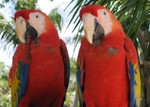 Highlight for Album: Xcaret