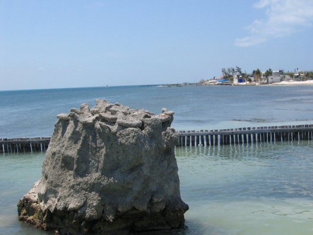 img_0505.jpg