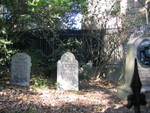 IMG 0341