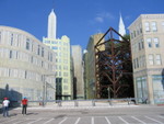 IMG 0346