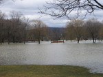 Some more picnic tables and a playground are somewhere in there.