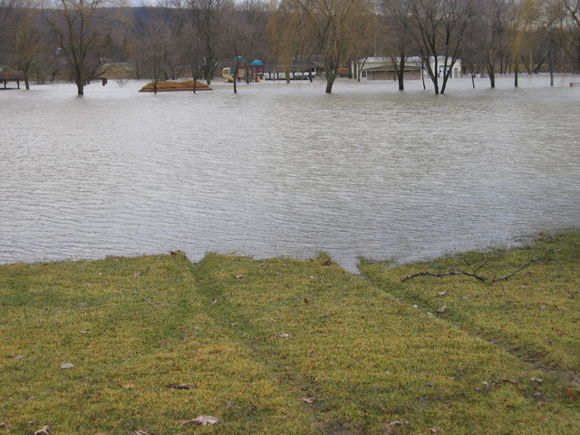Not sure where those tire tracks lead to...