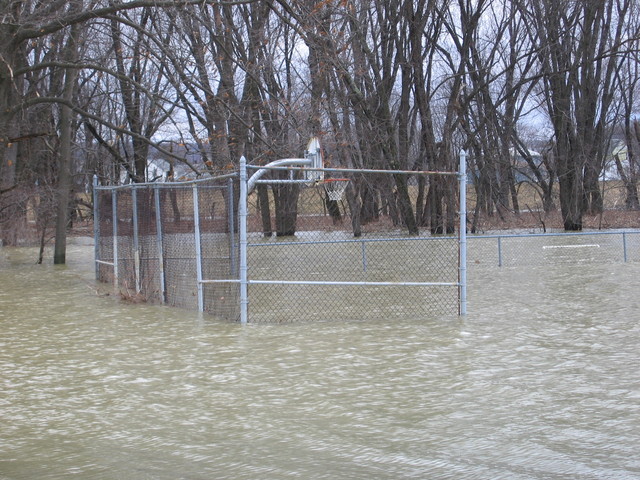 Anyone up for a game of basketball?