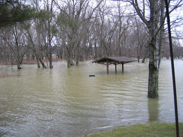 There's a picnic table and a grill somewhere under that.