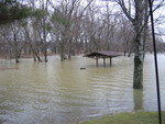 There's a picnic table and a grill somewhere under that.
