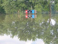 Highlight for Album: Glendale Park Flooded Again