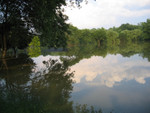 Whole park